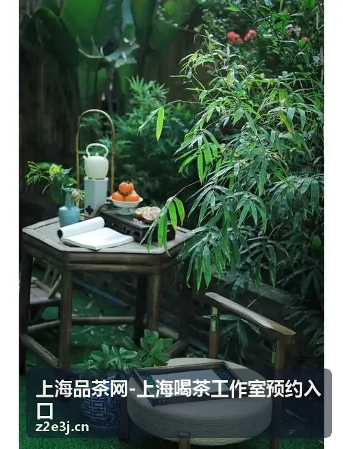 上海喝茶工作室静谧空间实测记录